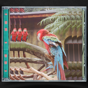 三年大片观看哔哩哔哩
