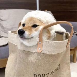 三年大片观看哔哩哔哩
